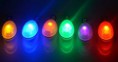 /products/colgante-led-para-mascotas/
